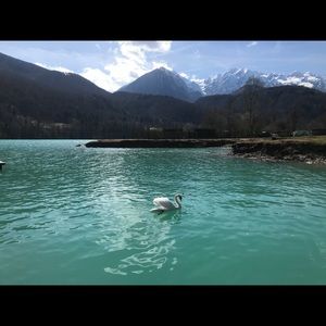 Meet your Posher, Veronica